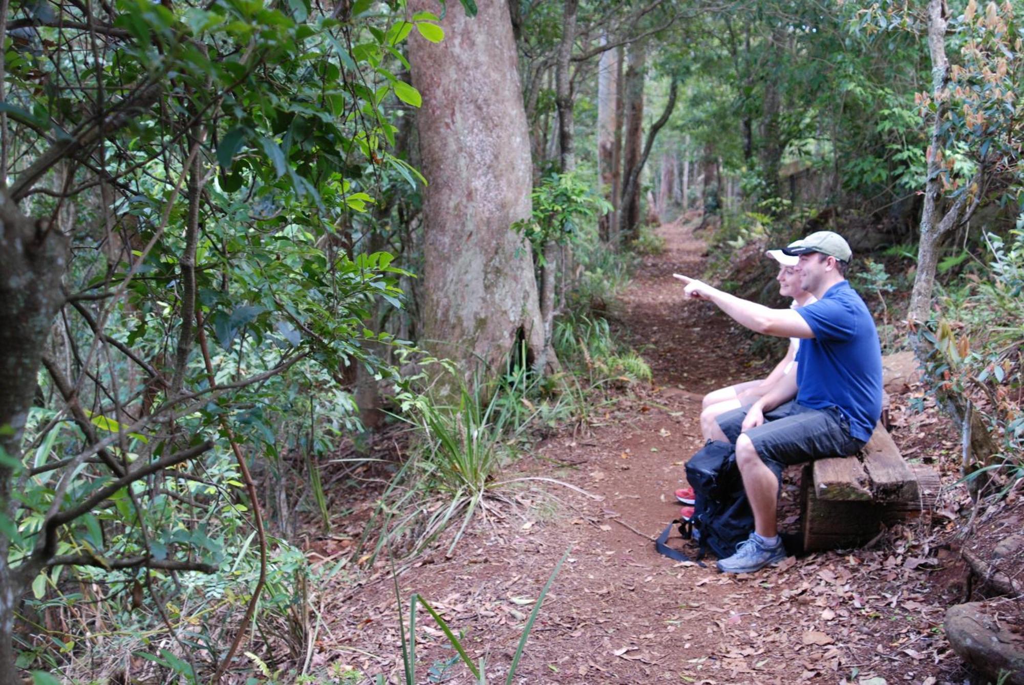 Witches Falls Cottages Mount Tamborine Luaran gambar